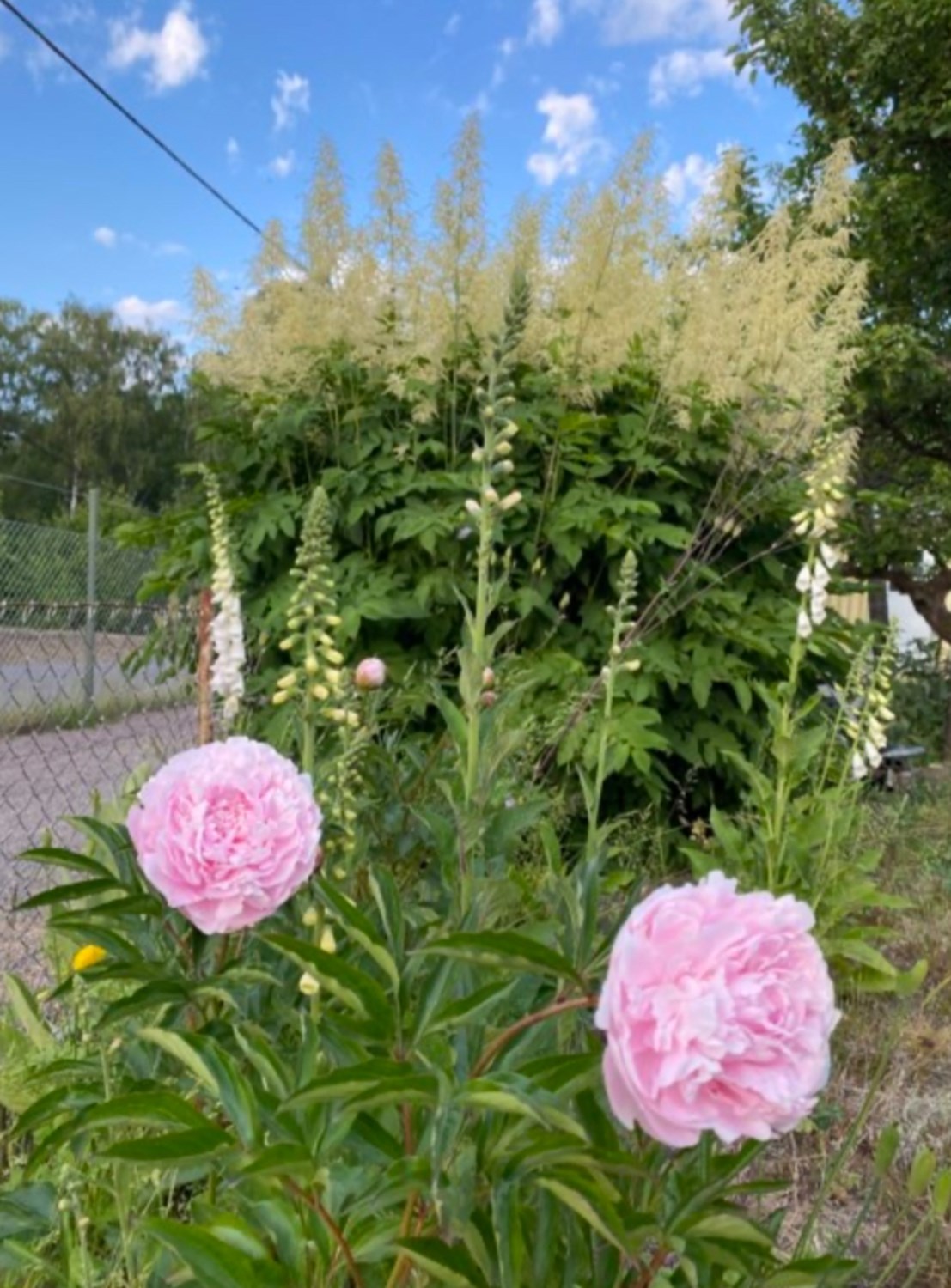 Bild Gråsparvsgången 31