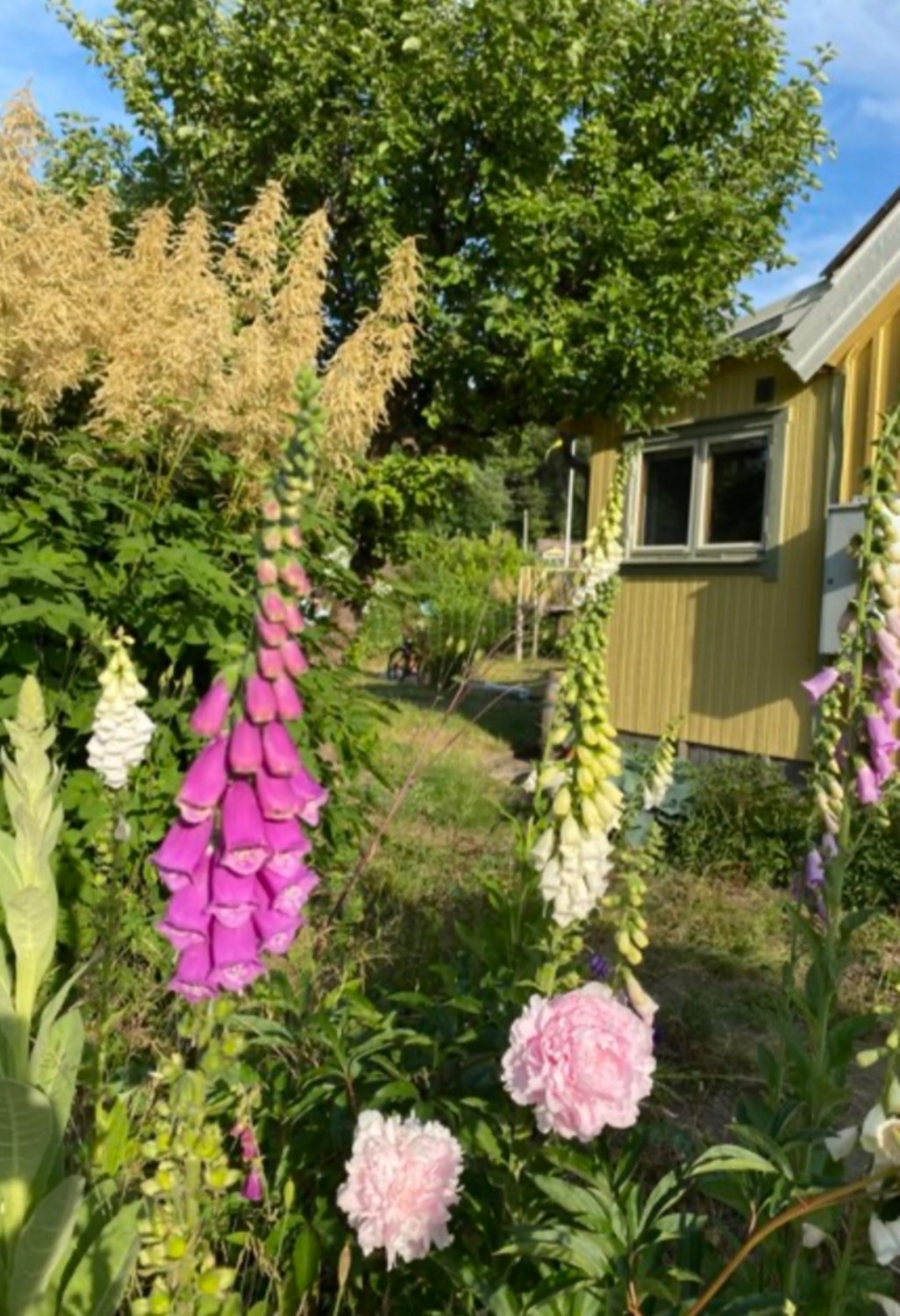 Bild Gråsparvsgången 31