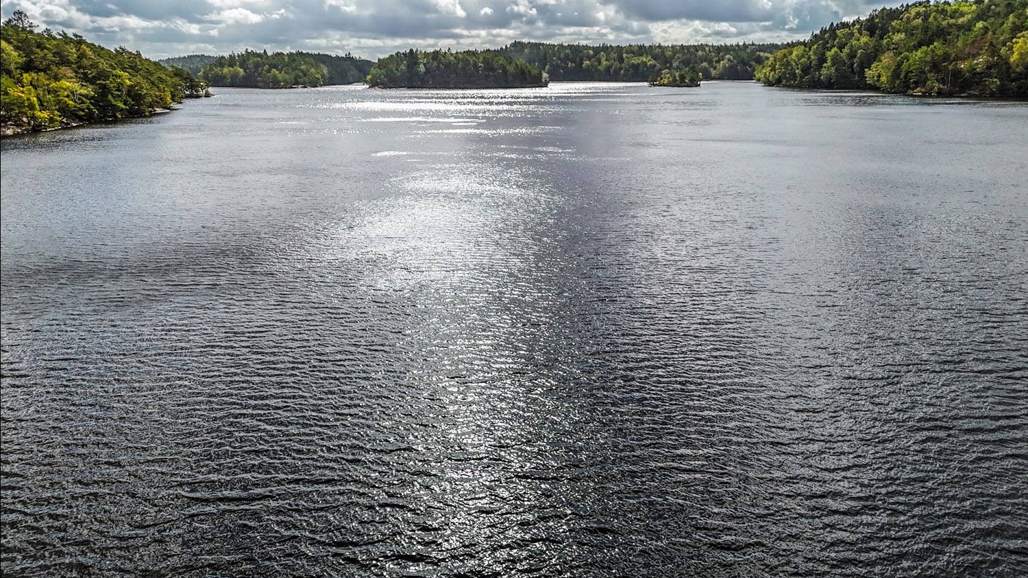 Bild Gråsparvsgången 31