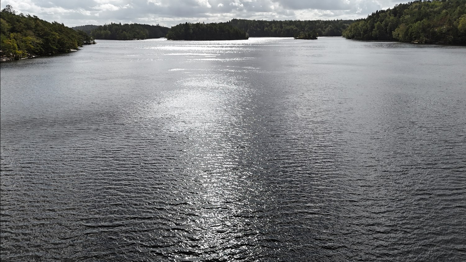 Bild Gråsparvsgången 37