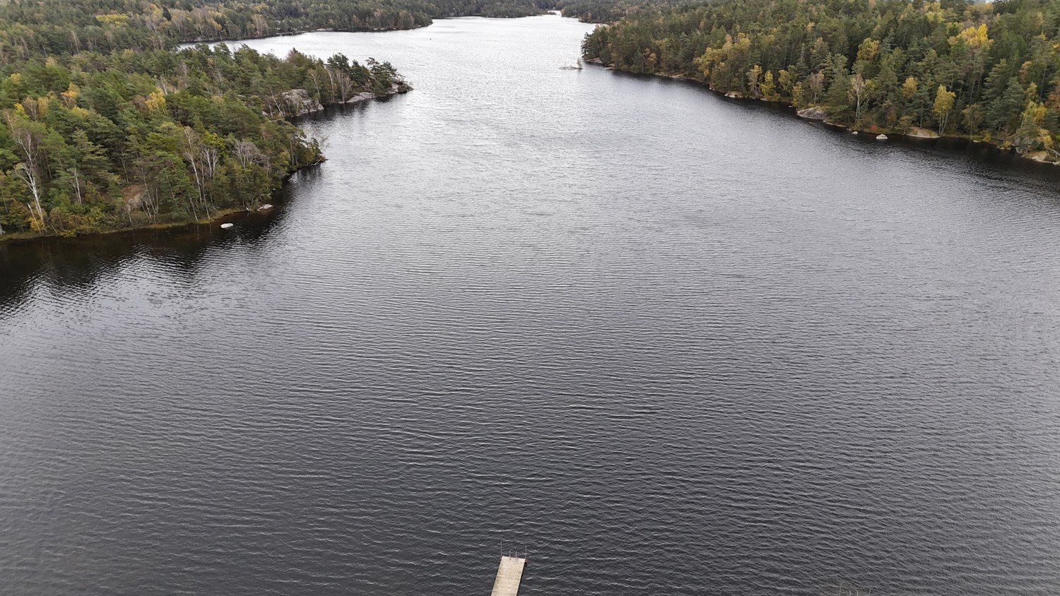 Surtesjön
