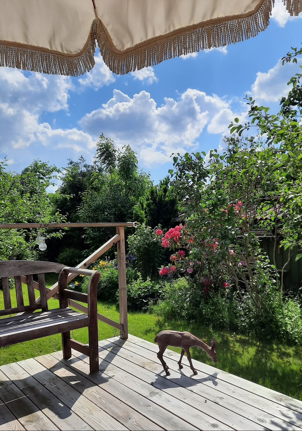 Bild Tomtenissegången 52
