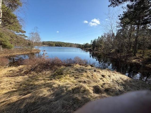 Sjö i närheten