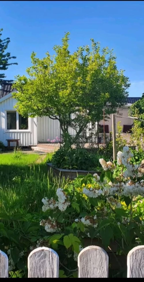 Syrengången 21 ( Lantmannagatan 15 )
