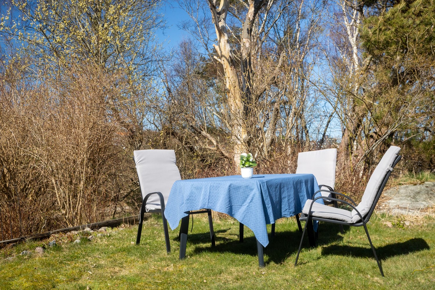 Uteplats vid sidan om gäststugan