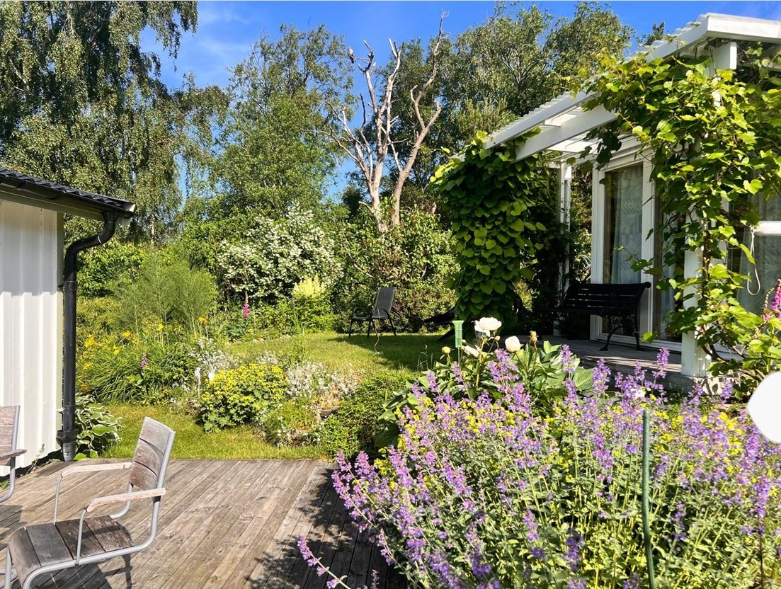 Sommarbilder