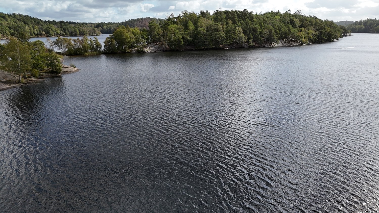 Delsjön på kort avstånd