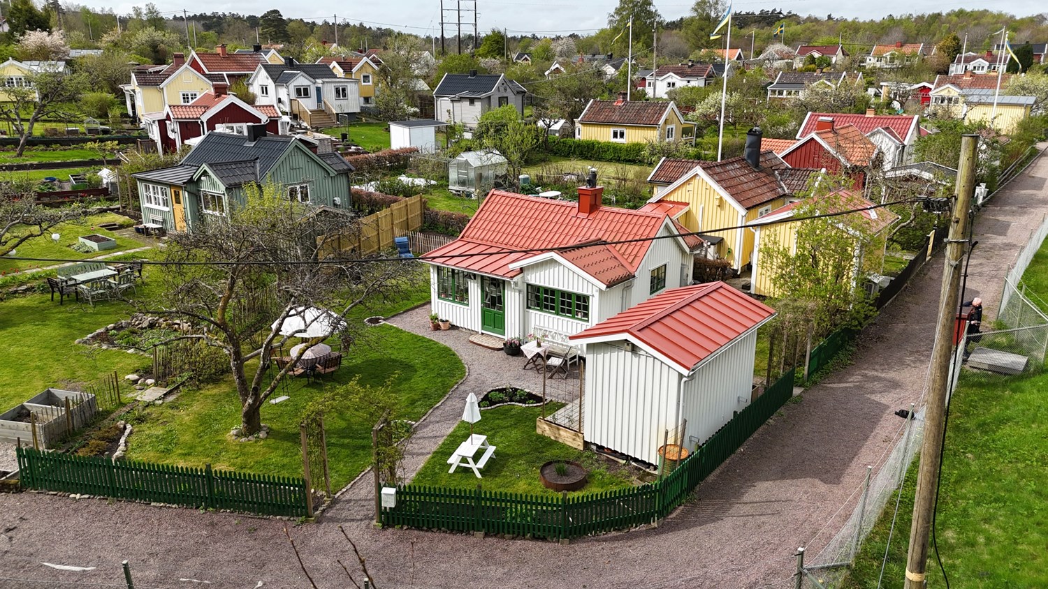 Bild Trädkrypargången 18