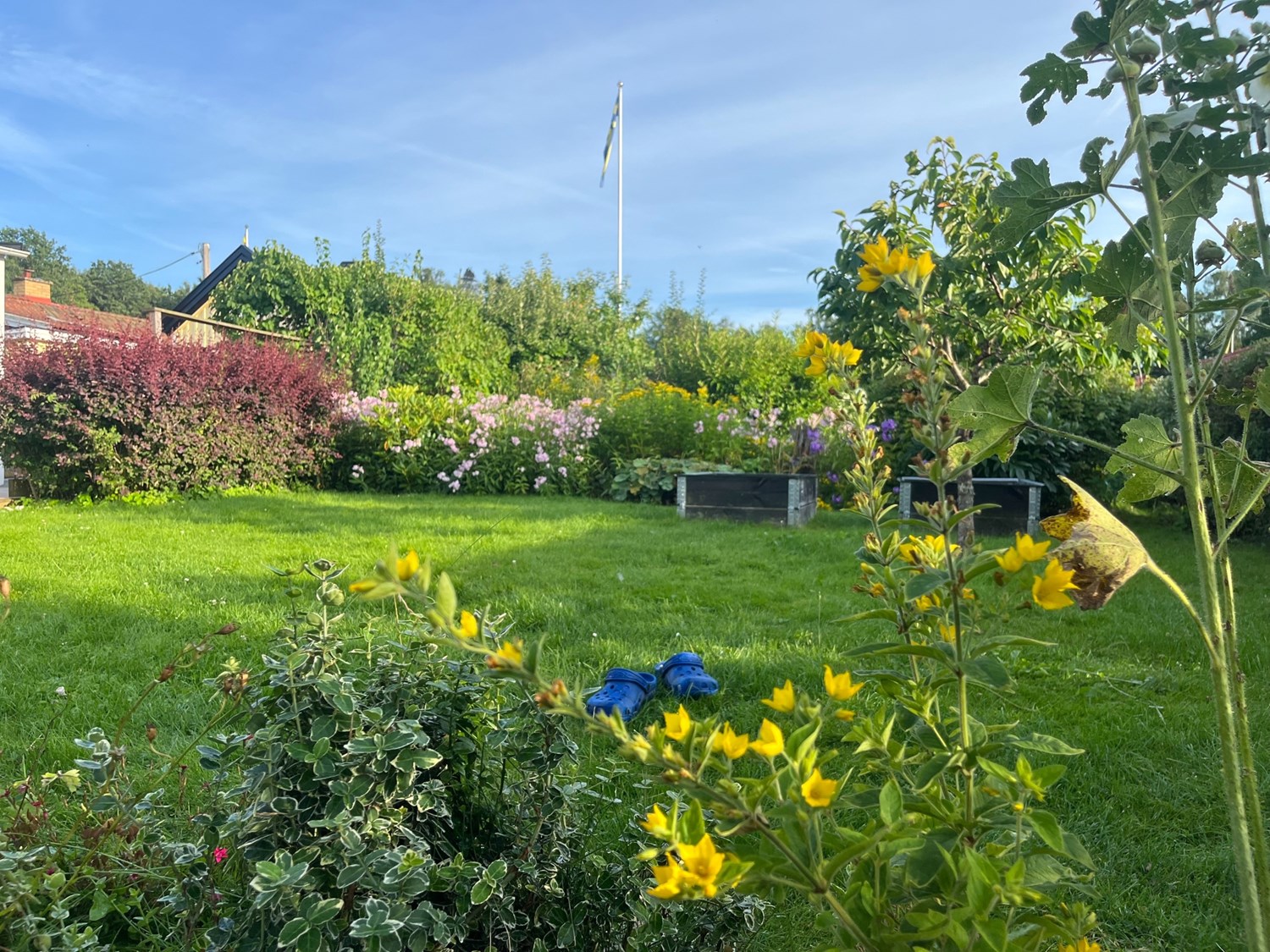 Bild Rabarbergången 143