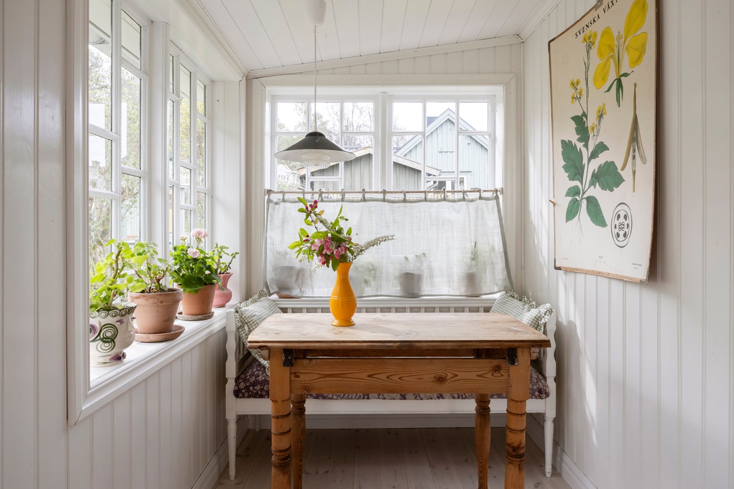 Bild Trädkrypargången 18