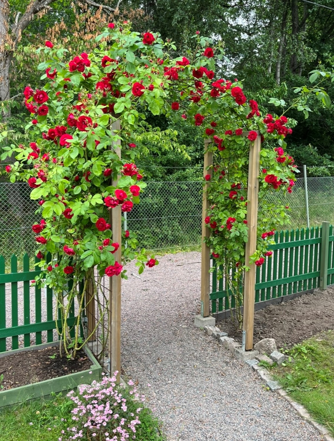 Bild Trädkrypargången 18
