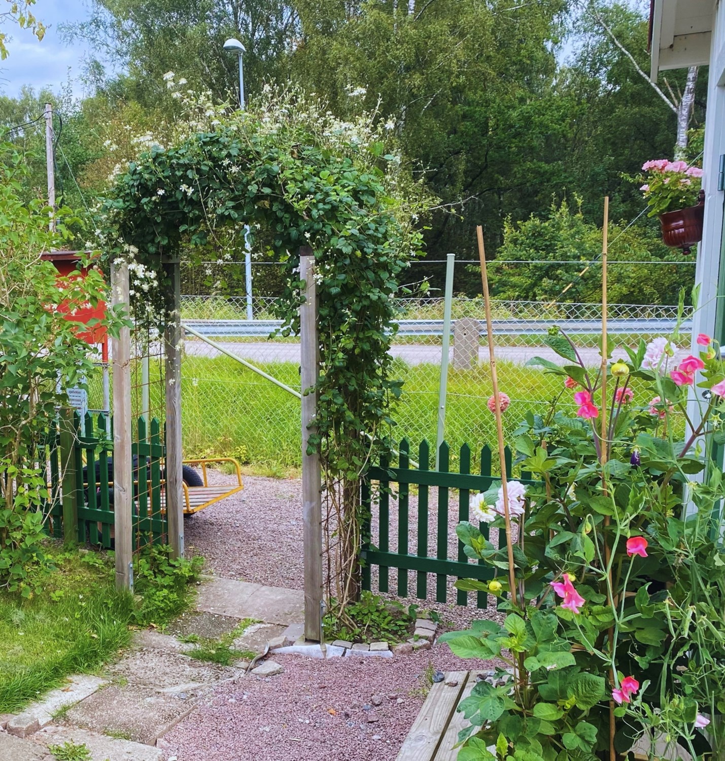 Bild Trädkrypargången 18