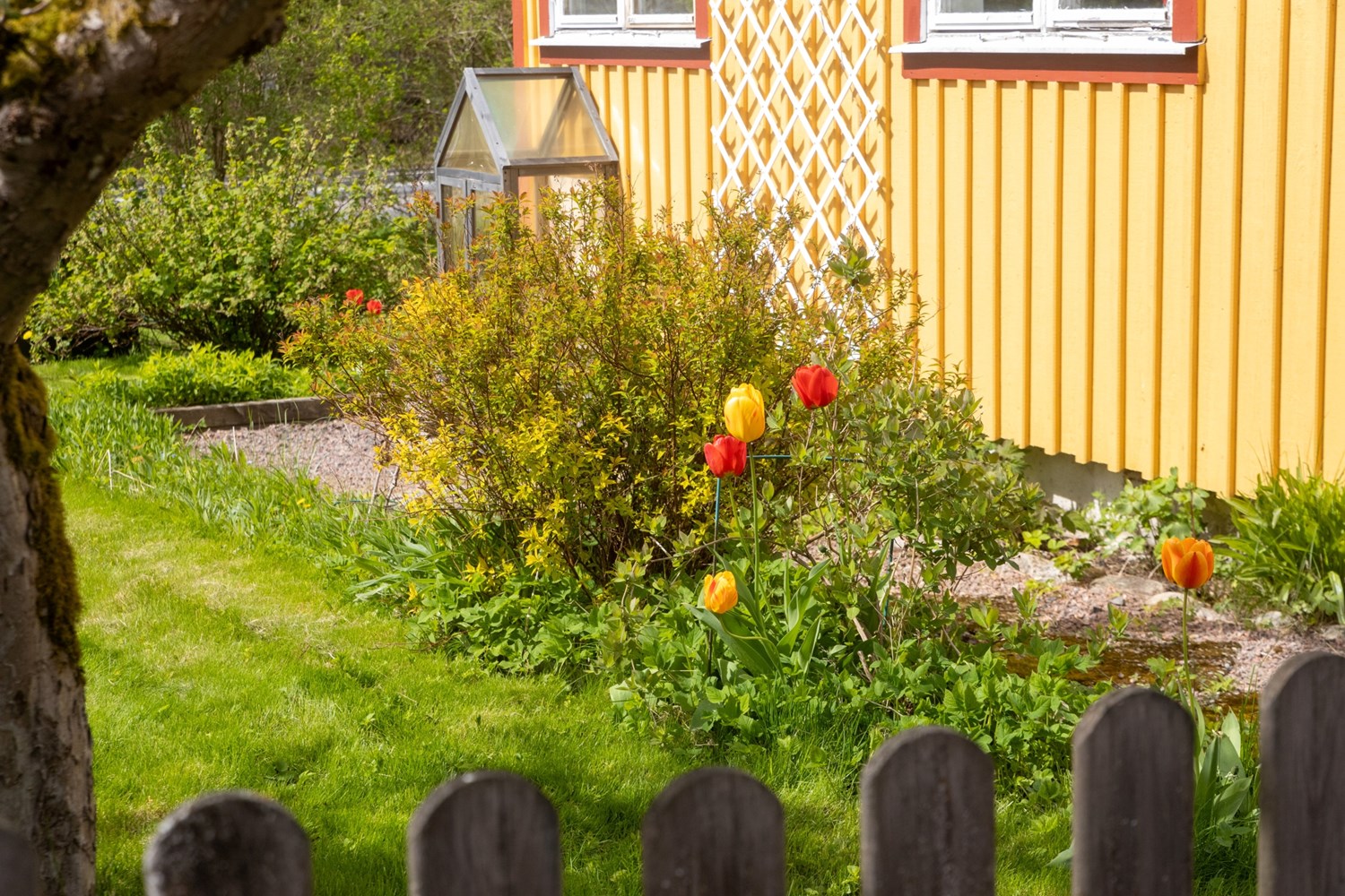 Bild Anemongången 128