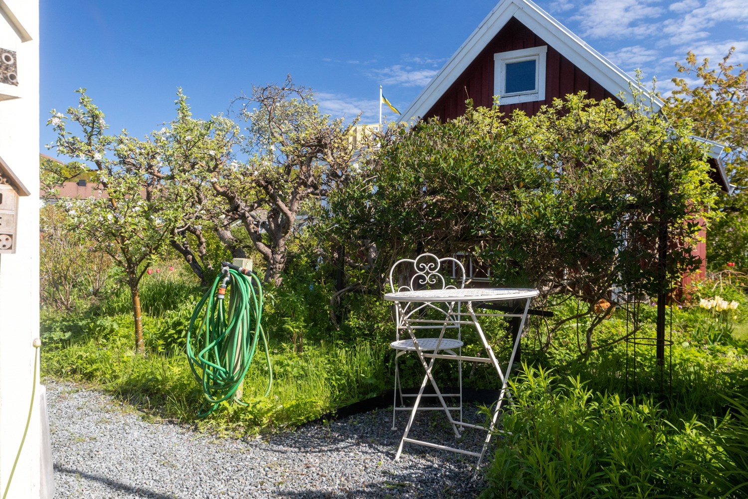 Bild Odlingsgången 85