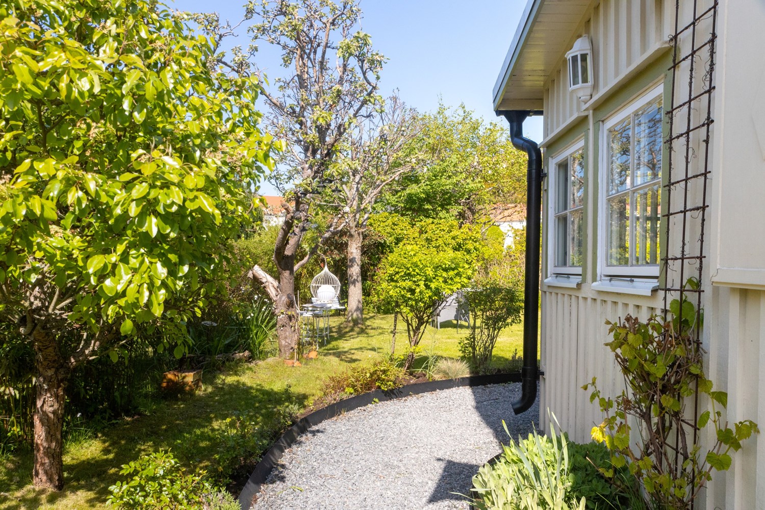 Bild Odlingsgången 85