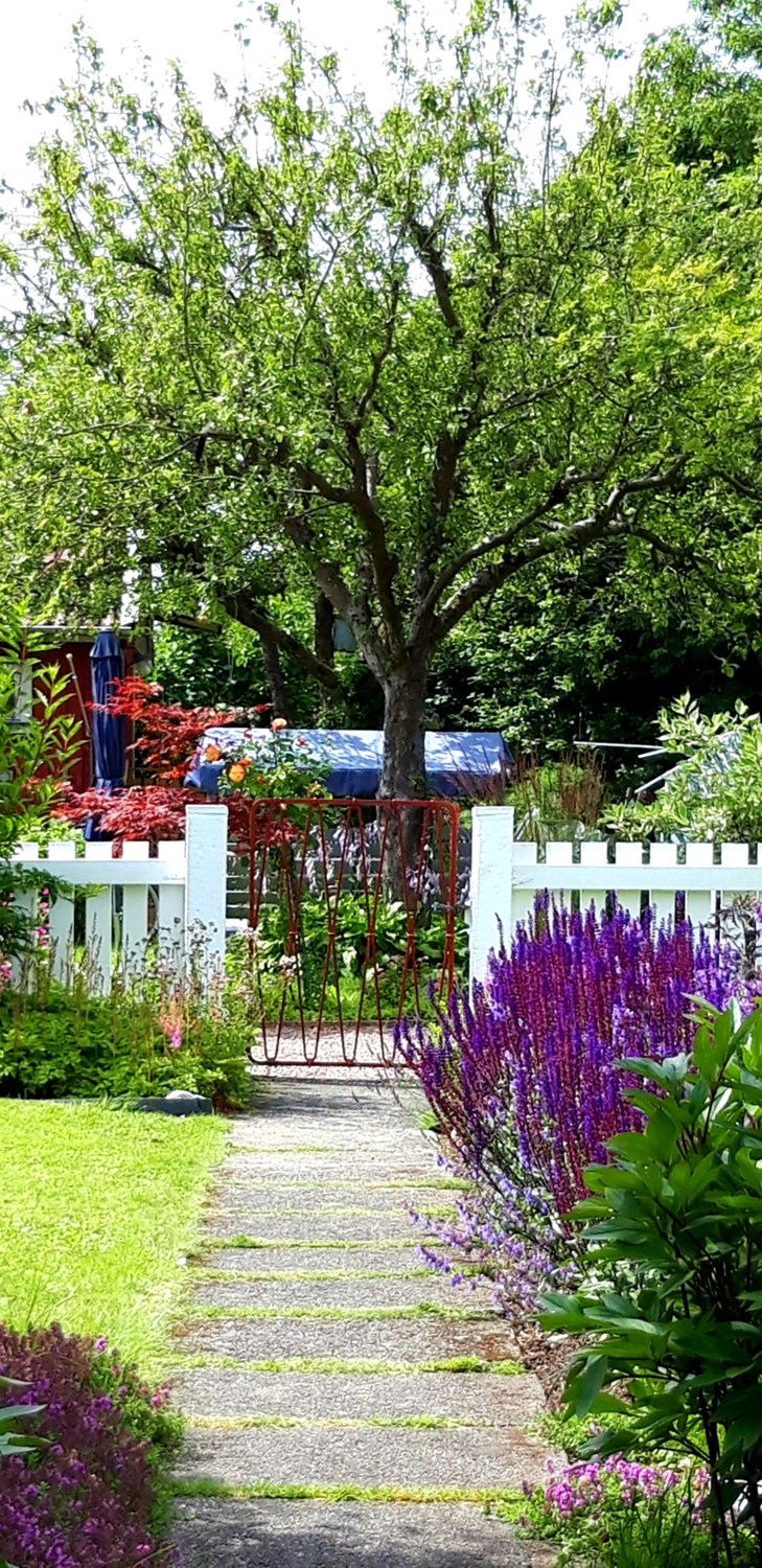 Bild Rosengången 56