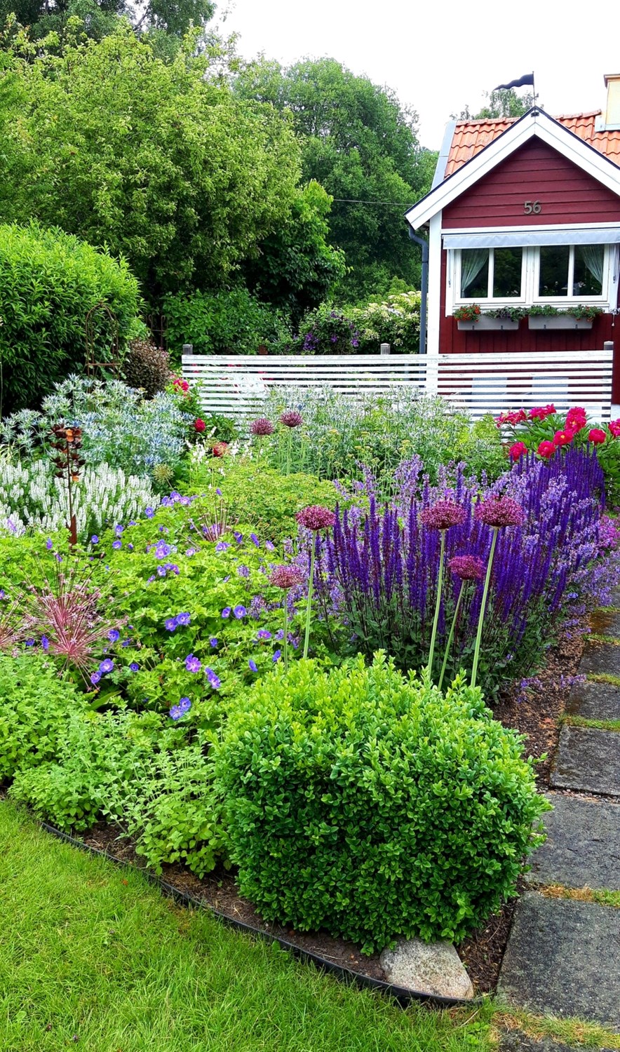 Bild Rosengången 56