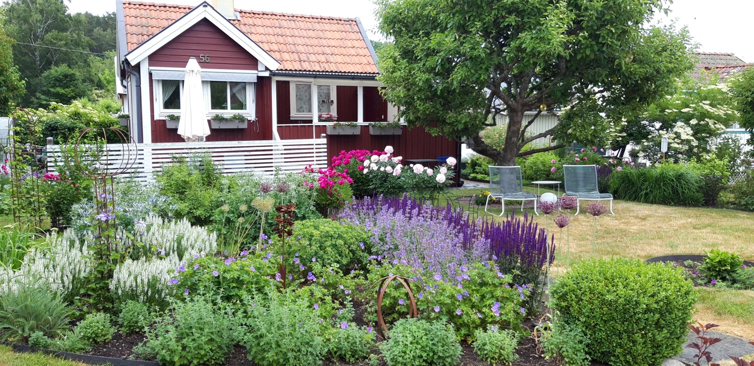 Bild Rosengången 56