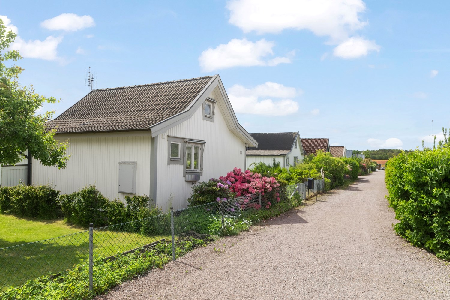 Bild Smörblommegången 323