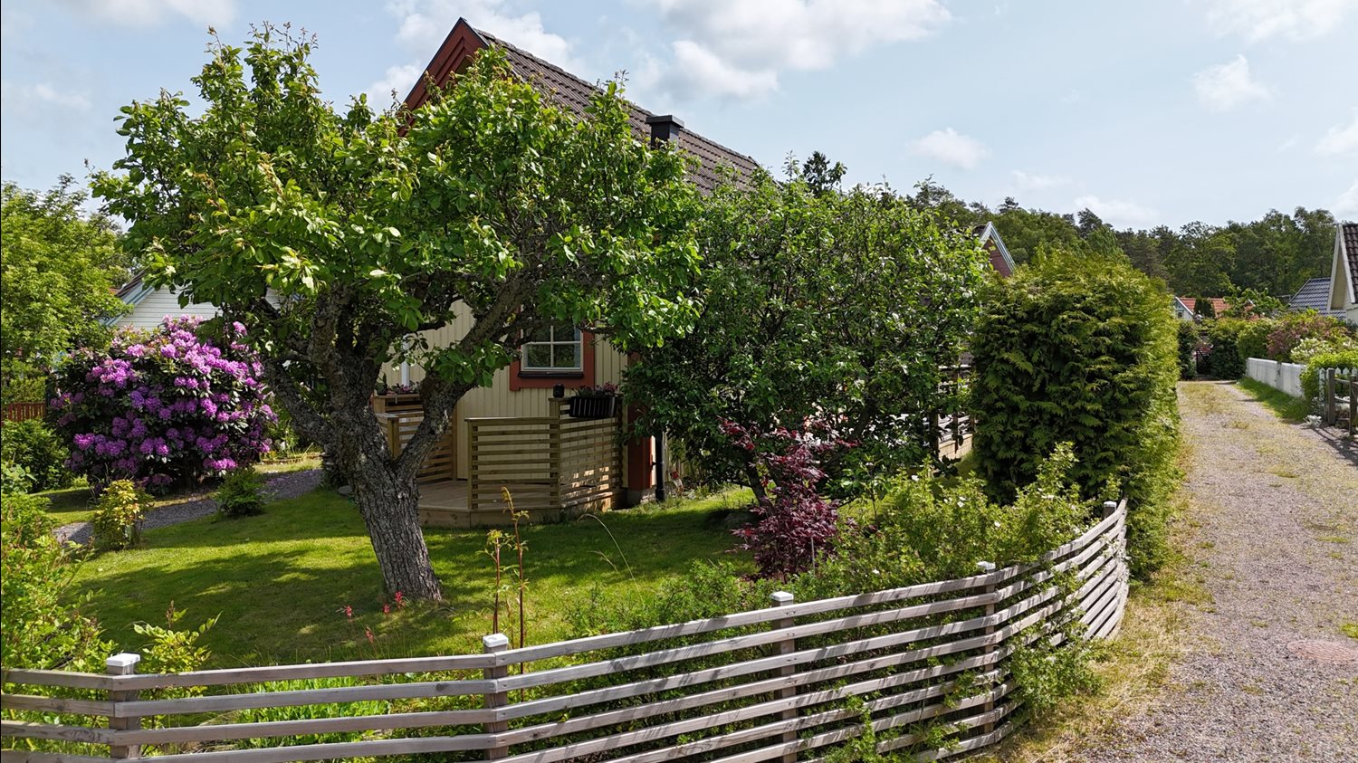 Vacker blomstrande hörntomt