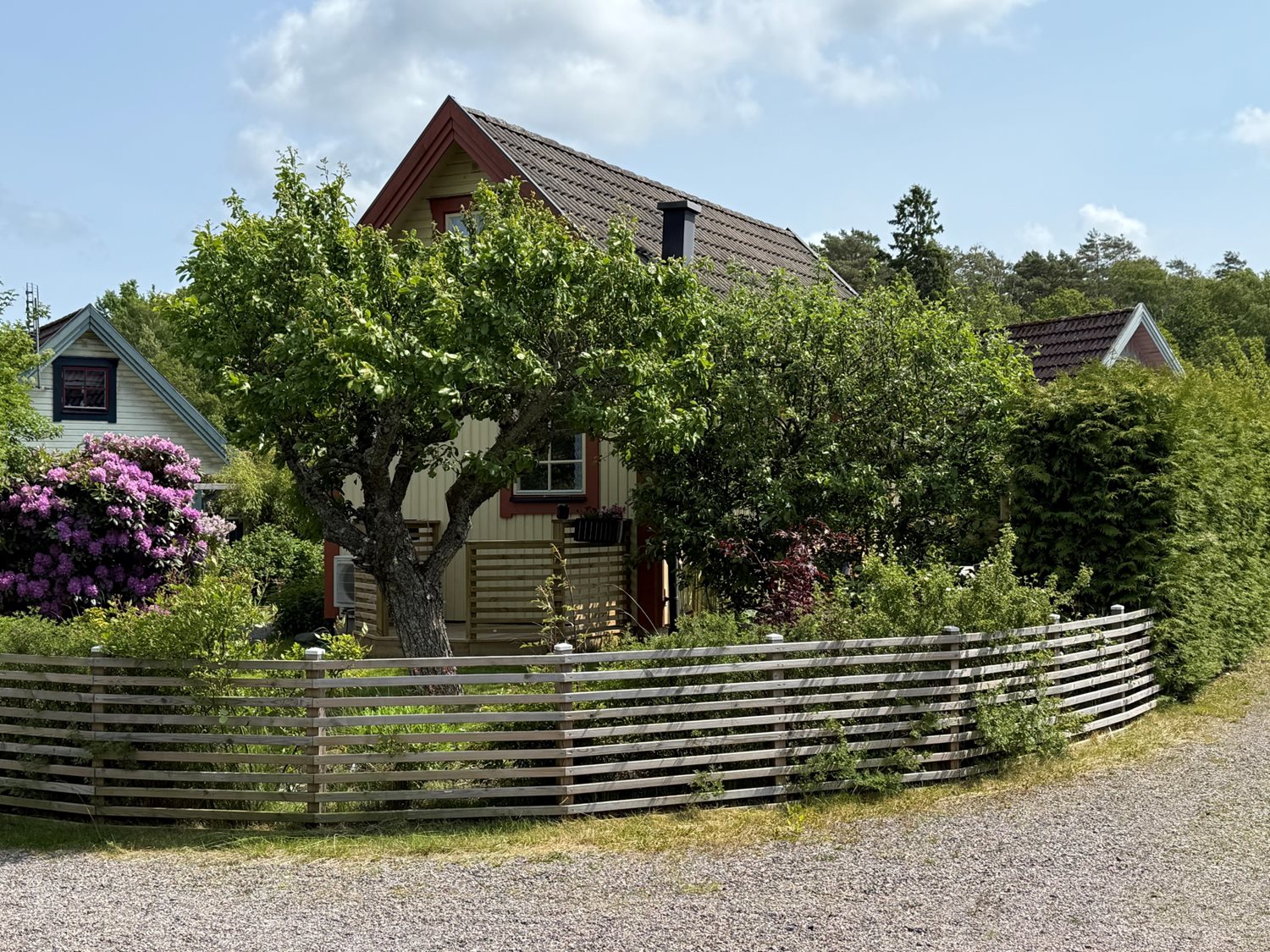 Bild Sommarlyckan 21