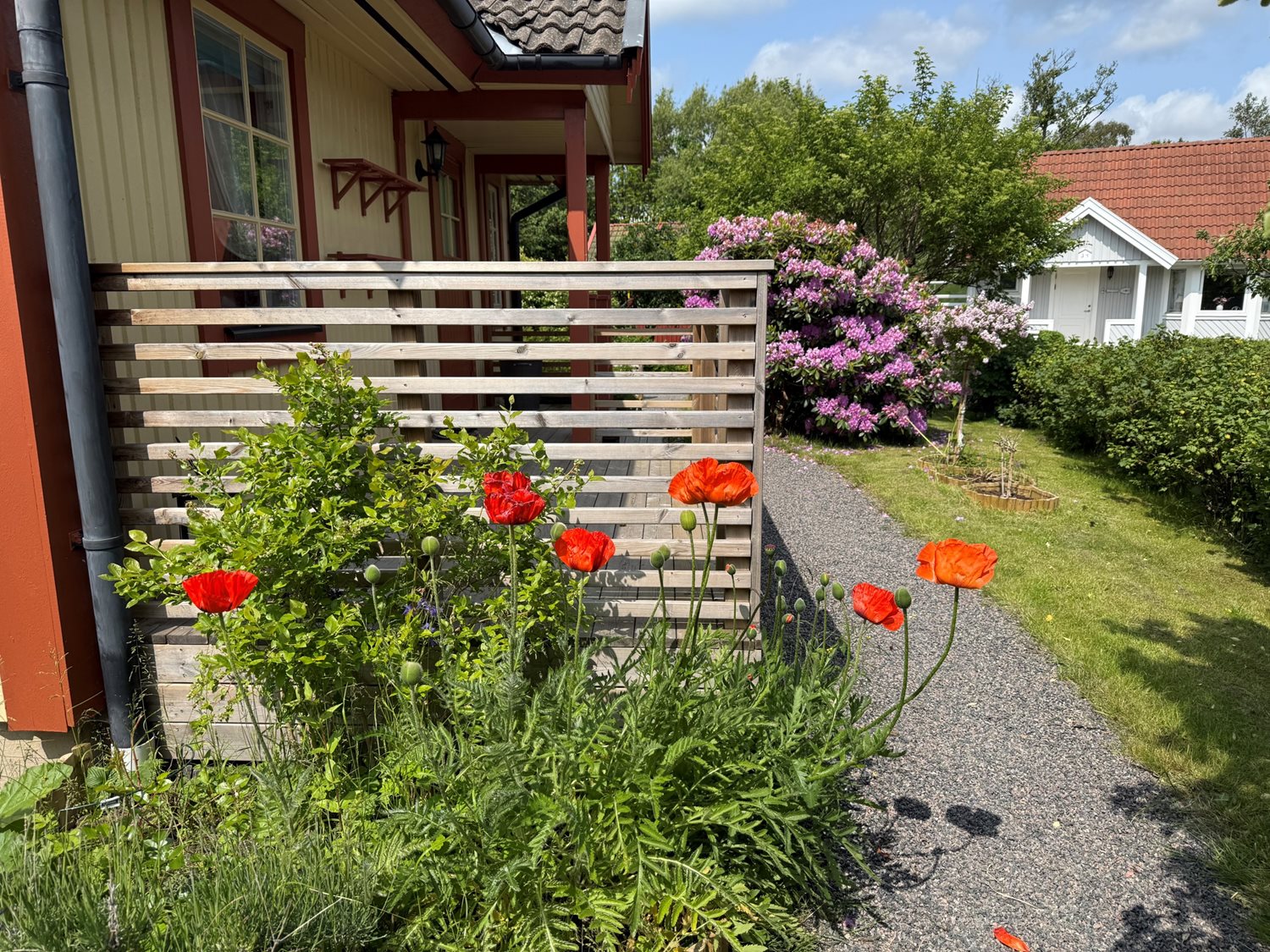 Bild Sommarlyckan 21