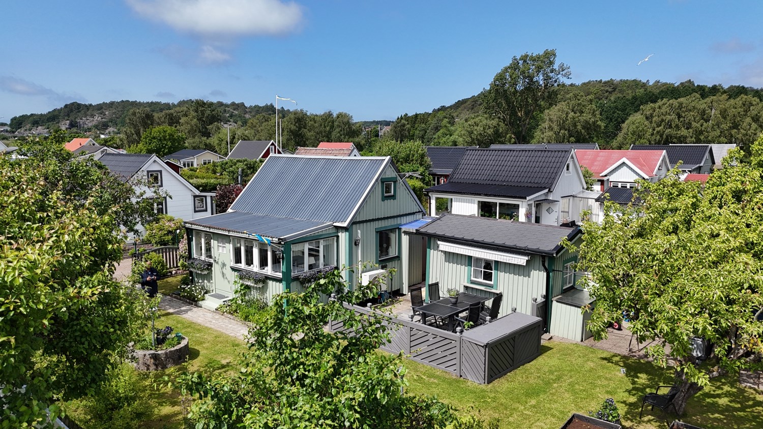 Bild Gulsporregången 245
