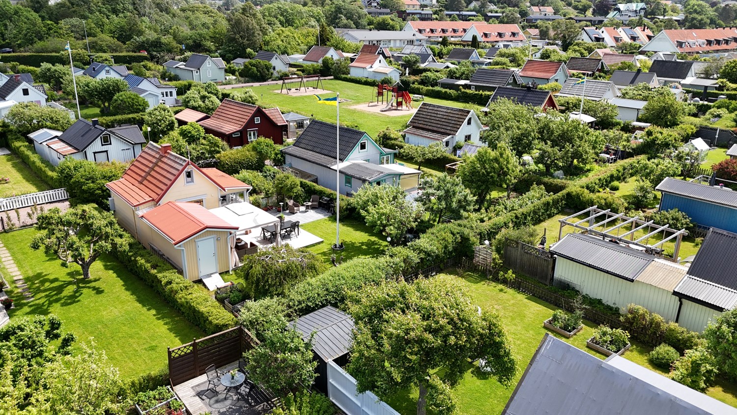 Bild Gulsporregången 245
