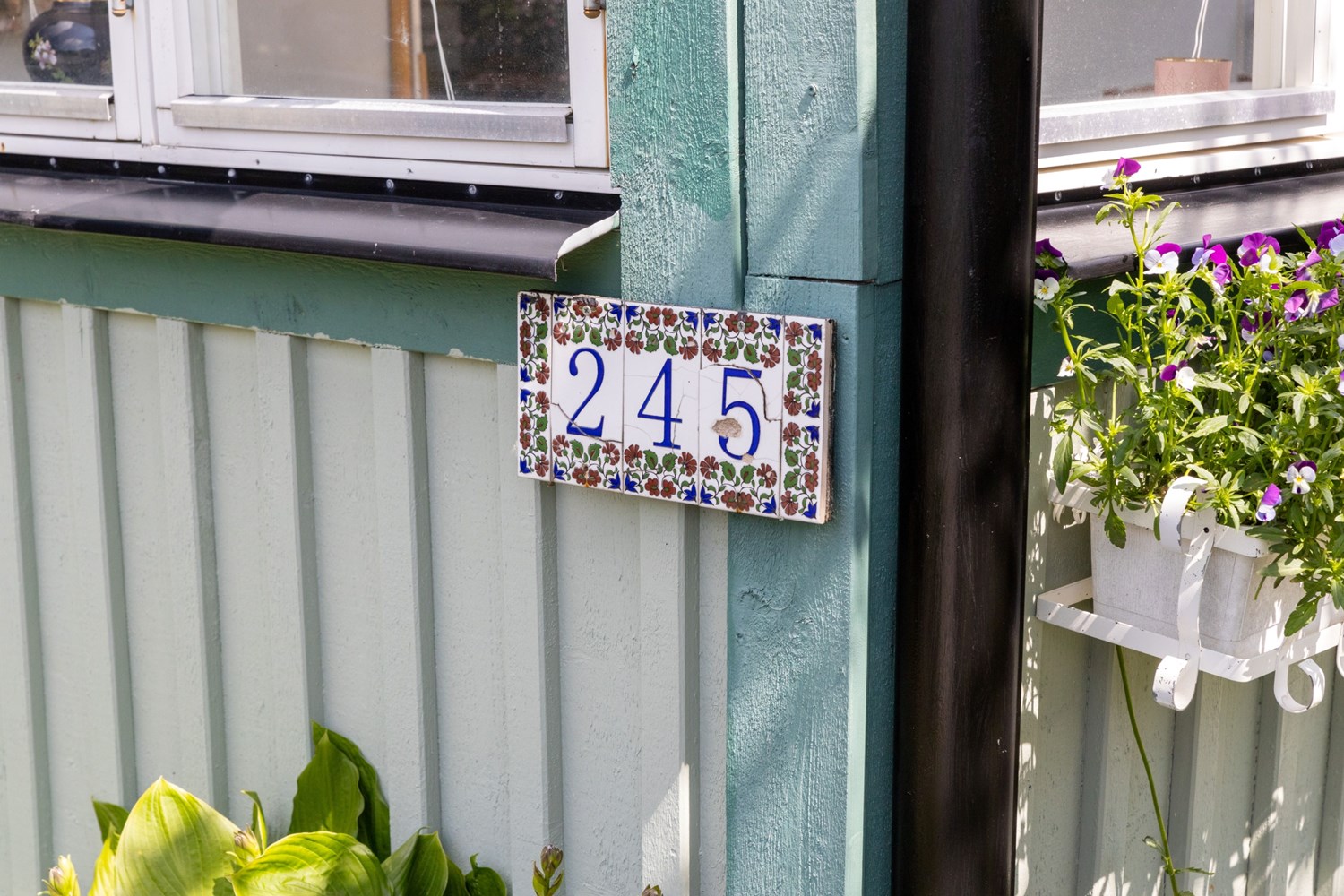 Bild Gulsporregången 245