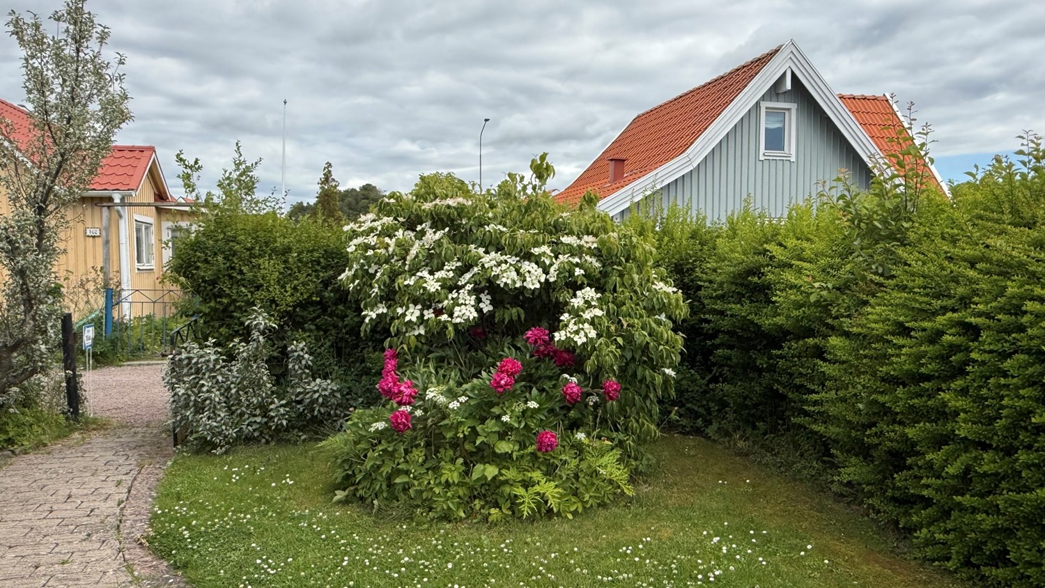 Bild Gulärlegången 143