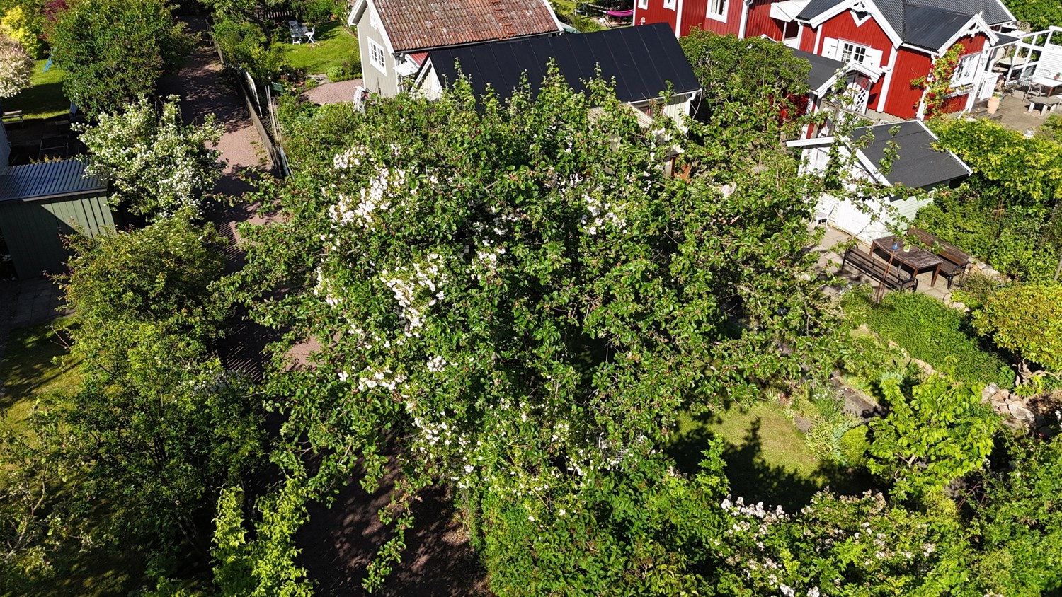 Bild Linnéagången 48