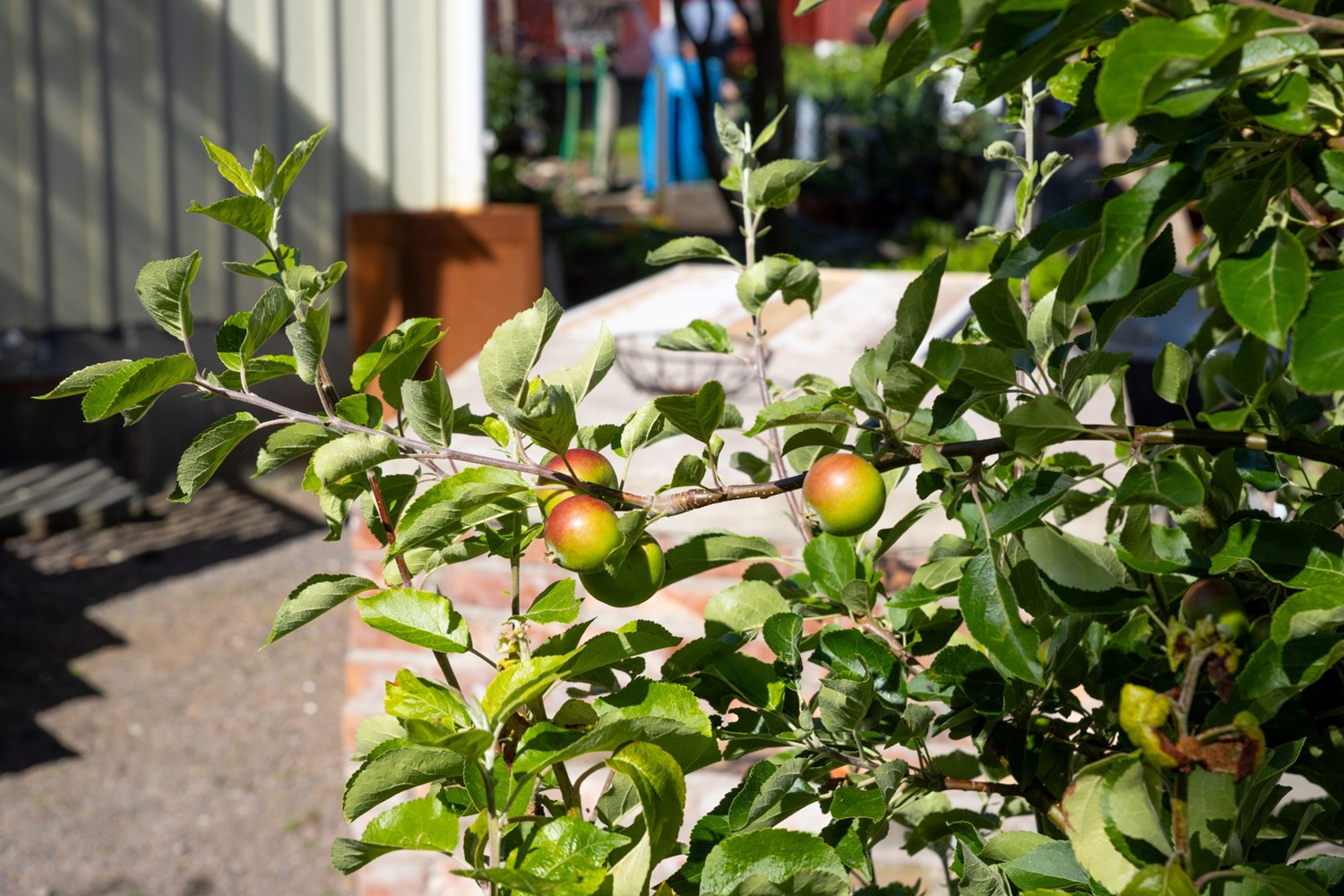 Bild Linnéagången 48