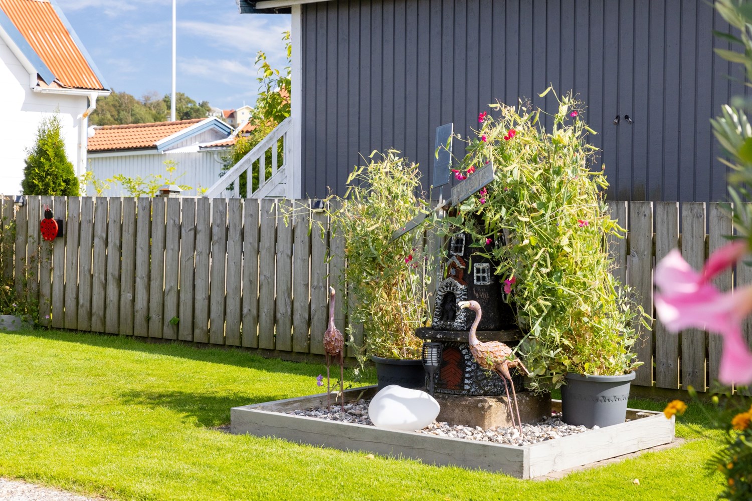 Bild Skogsviolgången 193