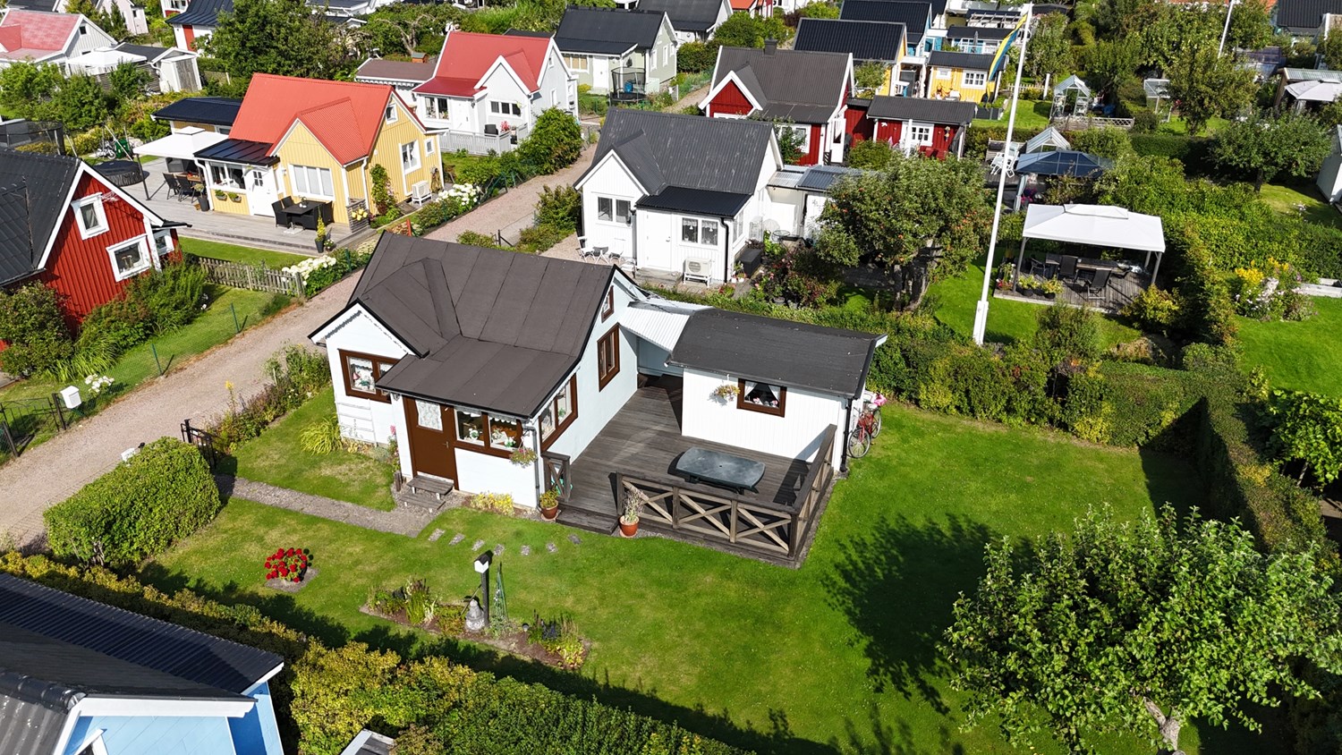 Bild Gulsporregången 252