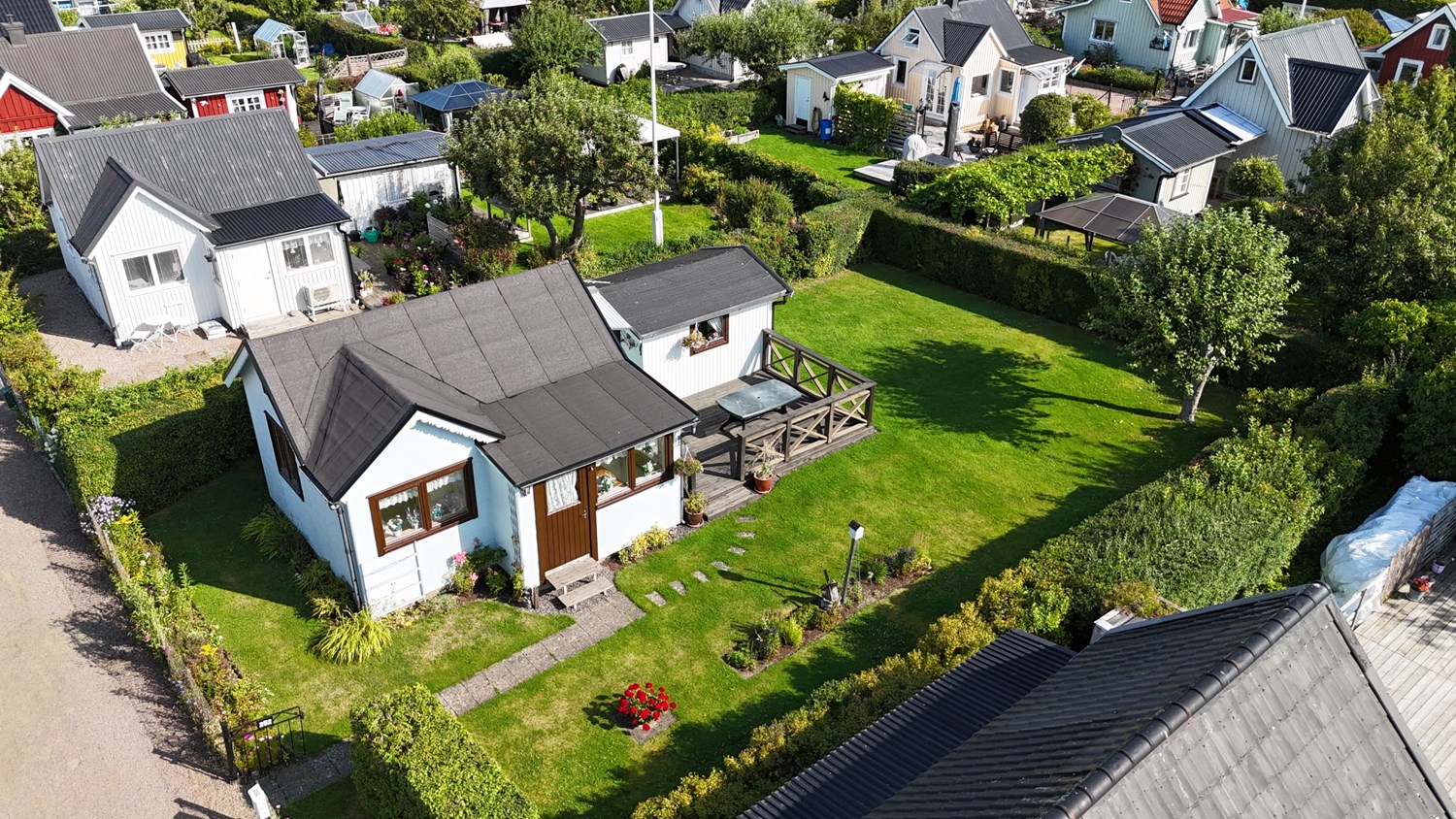 Bild Gulsporregången 252