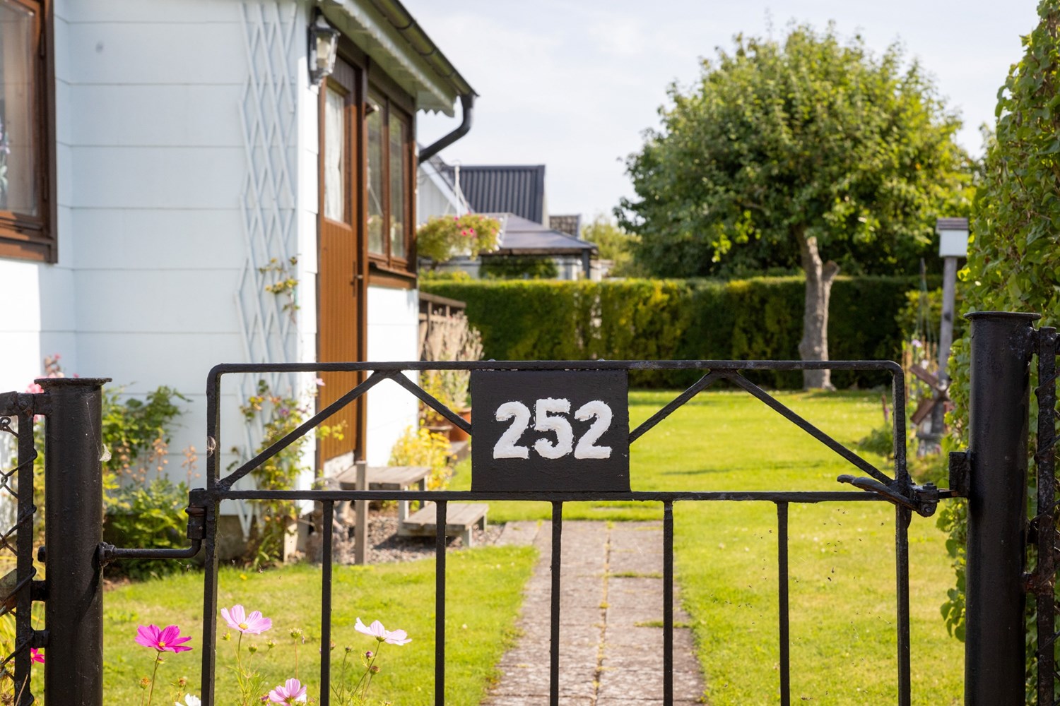 Bild Gulsporregången 252
