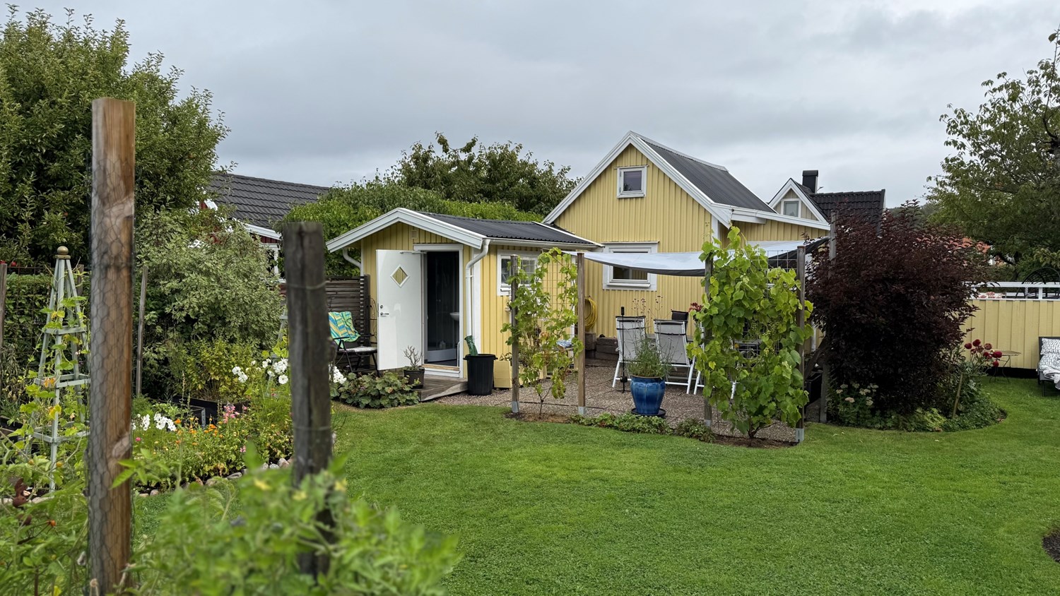 Bild Gulärlegången 151