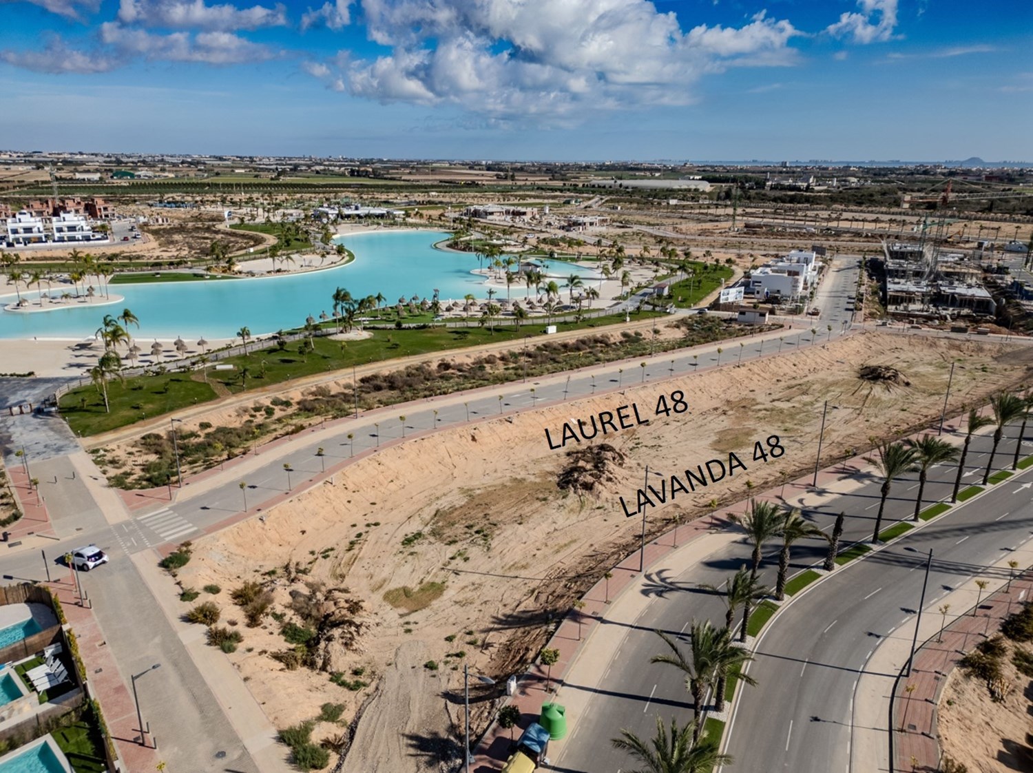 Bild Santa Rosalia Lavanda 48