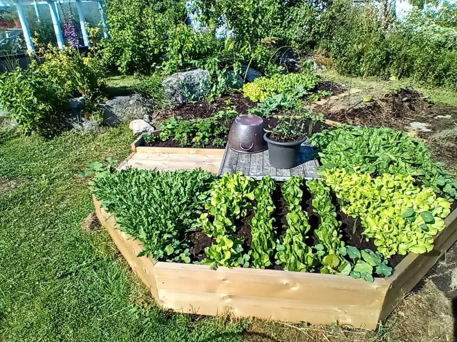 Planteringar i trädgården