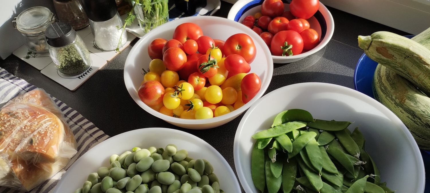 Bild Skeppstads Strandväg 3