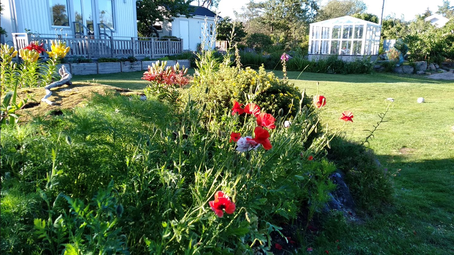 Bild Skeppstads Strandväg 3