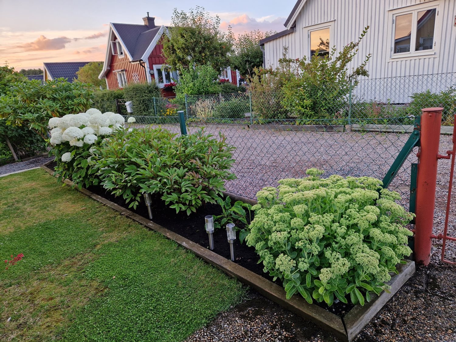 Bild Gulsporregången 230