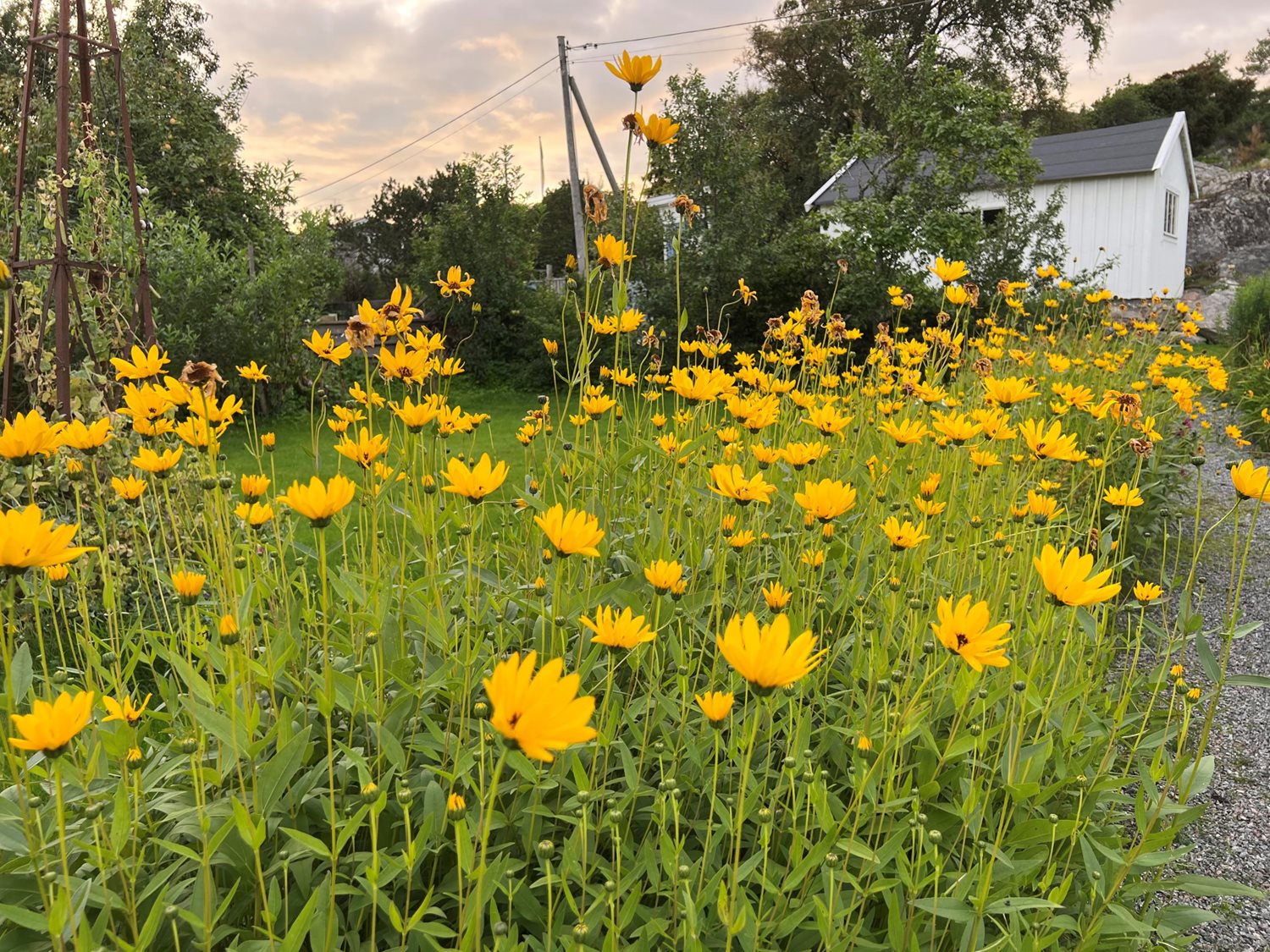 Bild Skeppstads Tärnväg 5