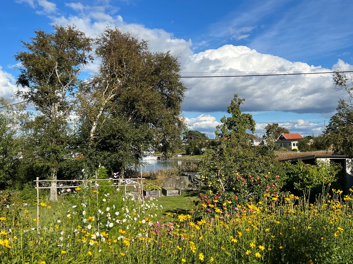 Bild Skeppstads Tärnväg 5