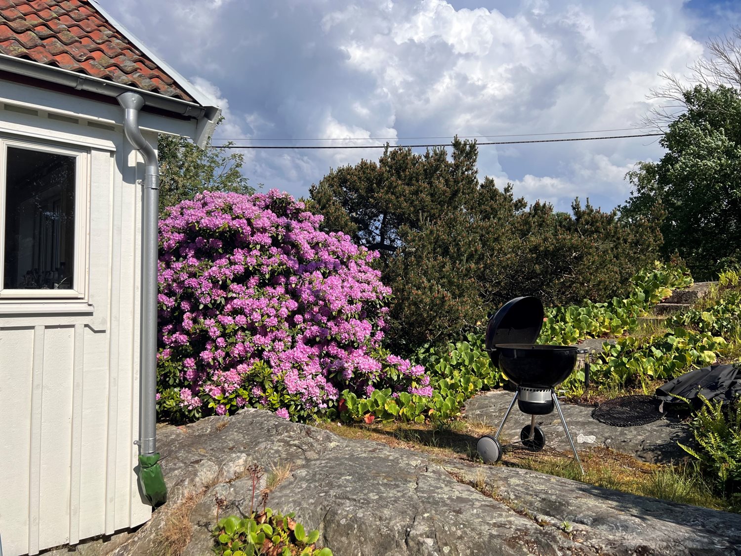 Baksidan av stugan mot uteplatsen