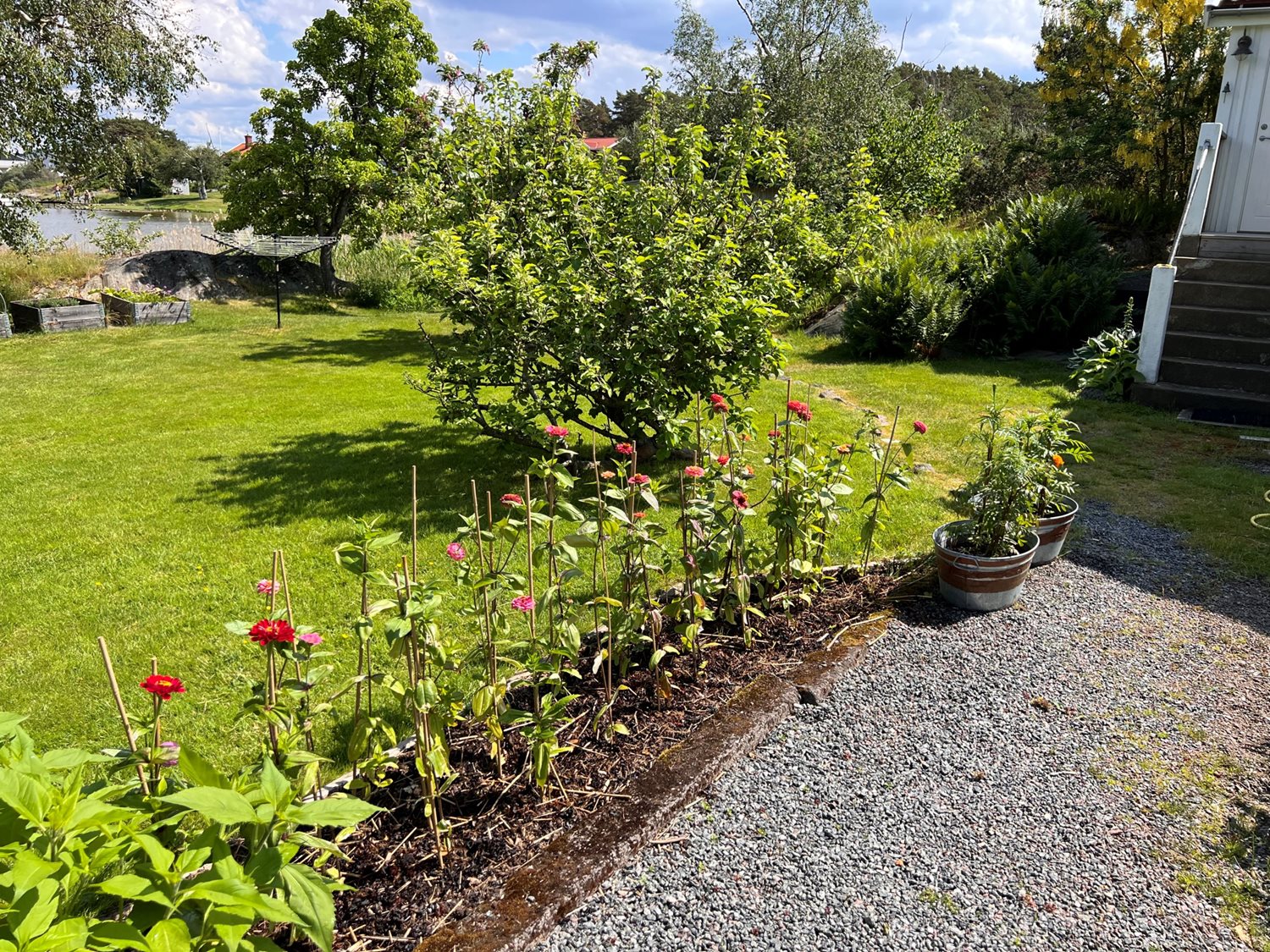 Planteringar mot stugans entre