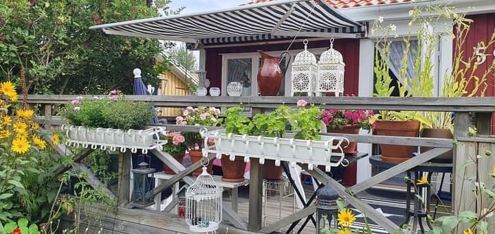 Bild Sörbackens Koloniområde nr 59