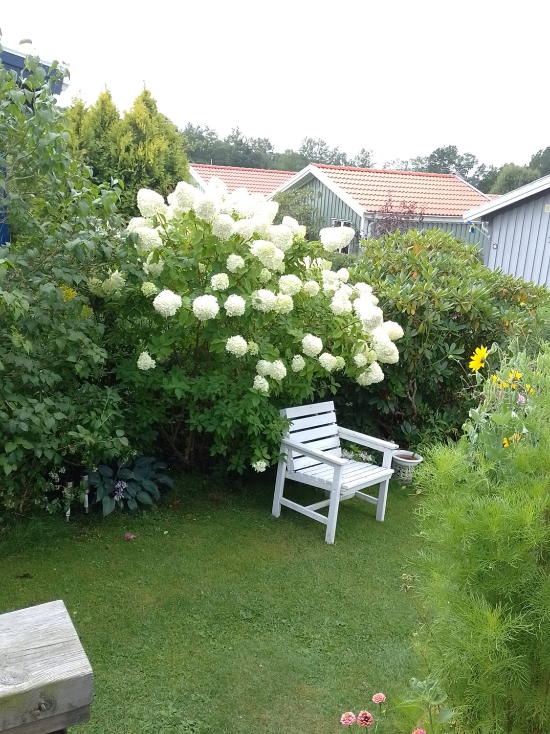 Vacker plats där man kan sitta och filosofera