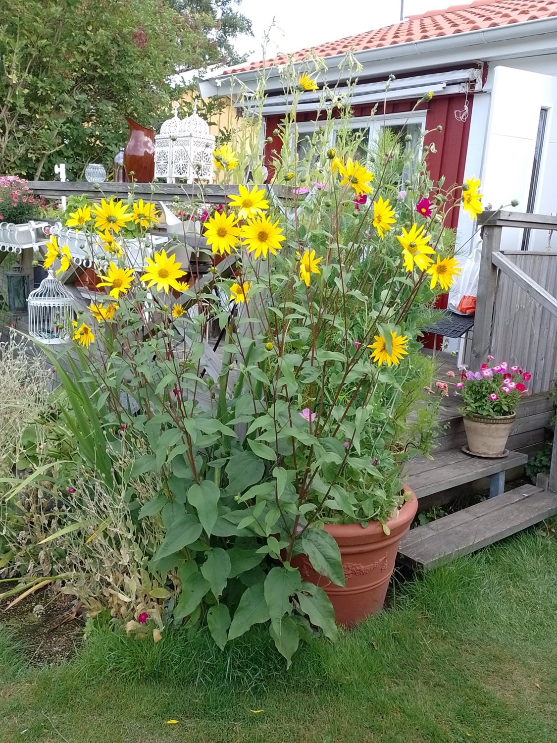 Bild Sörbackens Koloniområde nr 59