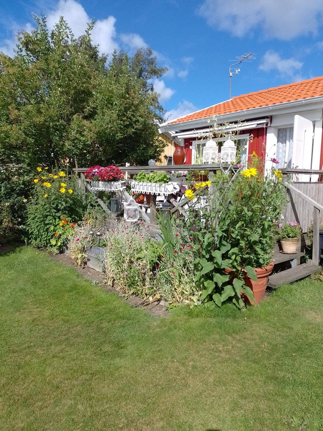 Bild Sörbackens Koloniområde nr 59